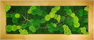 MossArtDeco Obraz 160 × 60 cm, kombinace mechu s větvičkami, dubový rám  - Painting