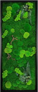 MossArtDeco Obraz 160 × 60 cm, kombinace mechu, kapradin a eukalyptu, černý rám  - Painting