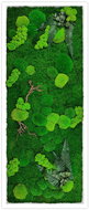 MossArtDeco Obraz 160 × 60 cm, kombinace mechu, kapradin, eukalyptu a větviček, bílý rám  - Painting