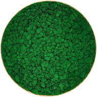 MossArtDeco Kulatý tmavě mechový obraz o průměru 50 cm, dřevěný rám   - Painting