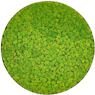 MossArtDeco Světle zelený nízký mechový obraz o průměru 50 cm, hnědý dřevěný rám   - Painting