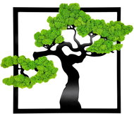 MossArtDeco Strom života "Bonsai" 45 × 45 cm, světle zelený nízký mech, černý rám  - Painting