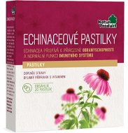 Naturprodukt Echinacea Lozenges - Herbal Lozenges