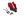 Red, 320 × 235, 140.20618R