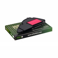 HIFLOFILTRO HFA1009 - Air Filter