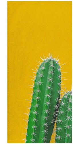 Möve Plážová osuška KAKTUS 80 x 180 cm - Bath Towel - Main image