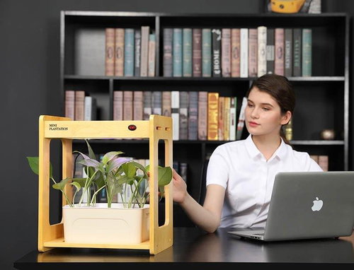 Dřevěný All-in-One hydroponický květináč MXM AV-20 - Chytrý květináč - Main image