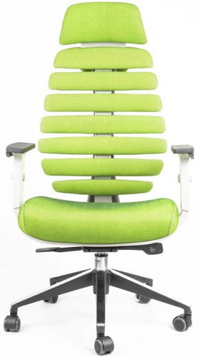 MERCURY STAR fishbones PDH SH06 gray / green - Office Chair - Main image