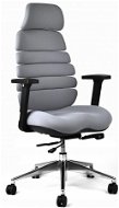 MERCURY STAR Spine s PDH šedá - Office Chair