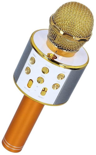 MG Bluetooth Karaoke microphone with speaker, gold - Microphone - Main image