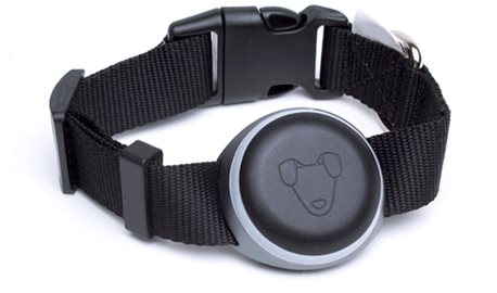 Mishiko Tariffs Black - Pet GPS Tracker - Main image