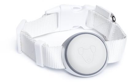 Mishiko Tariffs White - Pet GPS Tracker - Main image