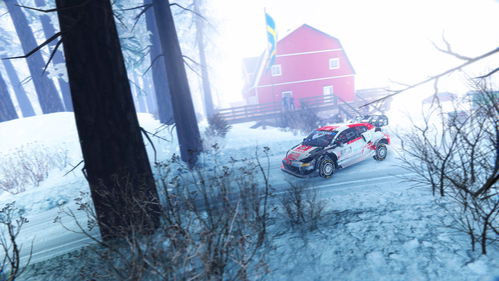 WRC Generations (English) PS5