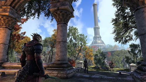  The Elder Scrolls Online Collection: Blackwood (PS4) : Video  Games