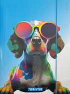 MITAMA Dog A4 mit Gummiband und Laschen - Sammelbox
