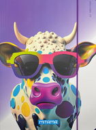 MITAMA Cow A4 mit Gummiband und Klappen - Sammelbox