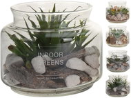 decoration succulent in glass 16x13,5cm mix 4 decors - Decoration