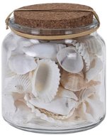 Dekoratív kagylók üvege dényben, 3 különböző minta - Dekoráció
