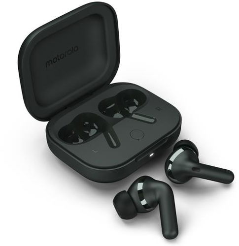 Motorola Moto Buds+ (Sound by BOSE) Forest Grey - Bezdrátová sluchátka - Hlavní obrázek