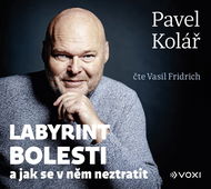 Kolář Pavel: Labyrint bolesti - Audiokniha na CD