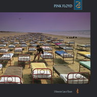 Pink Floyd: A Momentary Lapse of Reason - LP Record