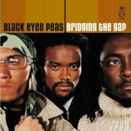 Black Eyed Peas: Bridging The Gap (2025 Edition) - LP Record