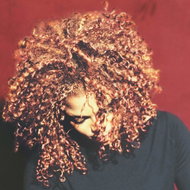 Jackson Janet: THE VELVET ROPE - LP Record