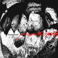 Poison The Well: Peace In Place - LP Record