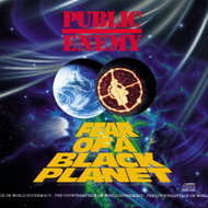 Public Enemy: Fear Of A Black Planet - LP Record