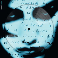 Marillion: Brave (Limited Picture Vinyl) - LP Record
