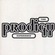 Prodigy: Experience - LP Record