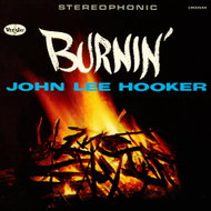 Hooker John Lee: Burnin - LP Record