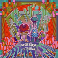 Oli Julian, Byrne David: The Twits - LP Record