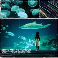 Bring Me The Horizon: Count Your Blessings - Music CD