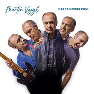 Martin Vajgl: Don't enjoy it too much! - LP Record