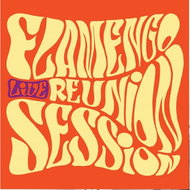 Flamengo Reunion Session: live - LP Record