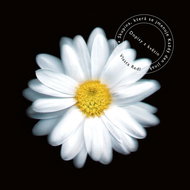 Redl Vlasta: Letters from Flowers (20th anniversary remaster) - LP Record