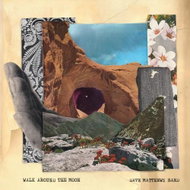 Matthews Dave Band: Walk Around the Moon - Music CD