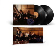 Giant Rooks: How Have You Been? - LP Record