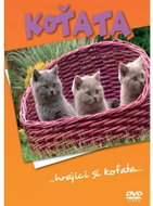 Kittens:. playing kittens. - DVD Film