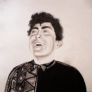 Johnson Hobo: Rise Of Hobo Johnson - Music CD