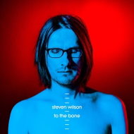 Wilson Steven: To The Bone - Music CD