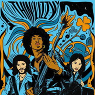 Thin Lizzy: The Acoustic Sessions - LP Record