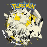 DANILO Calendar 2026 Pokemon - Wall Calendar