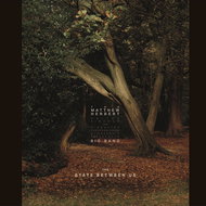 Matthew Herbert: State Between Us (3x LP) - LP Record