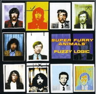 Super Furry Animals: Fuzzy Logic (B-SIDES & BESIDES, RSD 2024) - LP Record