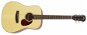 Aria 111 MTN - Acoustic Guitar