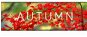 Autumn (PC/MAC/LX) DIGITAL - Hra na PC