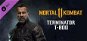 Mortal Kombat 11 Terminator T-800 (PC) Steam kulcs - Videójáték kiegészítő