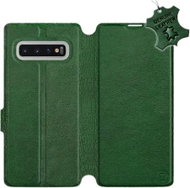 Flip case for Samsung Galaxy S10 Plus - Green - leather - Green Leather - Phone Cover